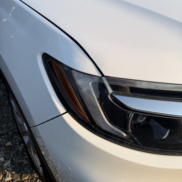 Hood Paint Damage — Recent Project by CroMatch